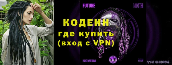 a pvp Ельня