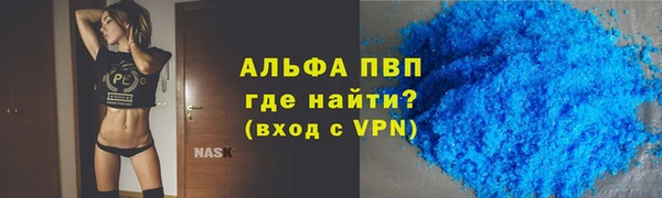 a pvp Ельня