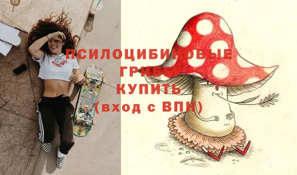 прущая мука Елабуга