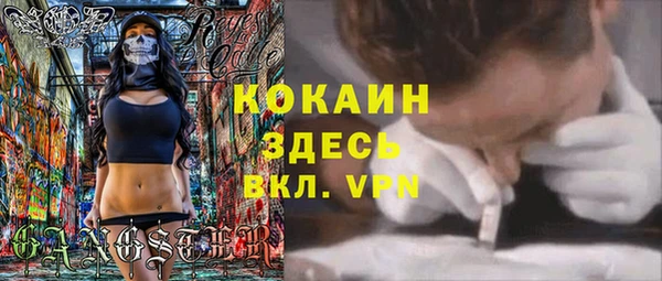 a pvp Ельня