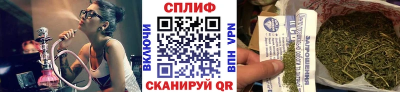 Канабис планчик Купить Павлово